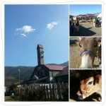静岡県函南町酪農王国オラッシェの写真
